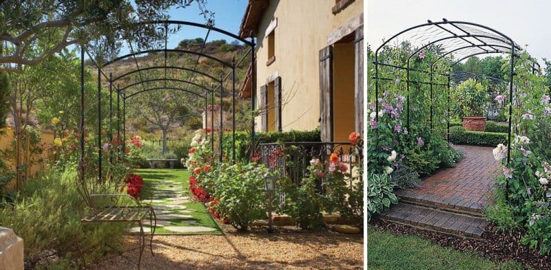 Untitled 1 1 800x393 1