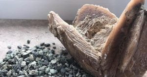 Untitled 7 Recovered