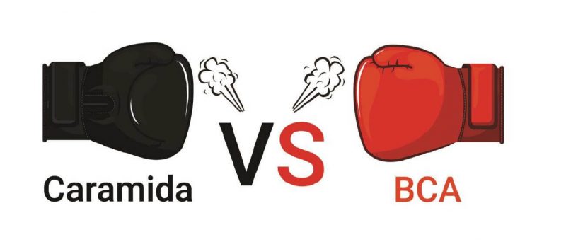 caramida 00005 1 800x342 1