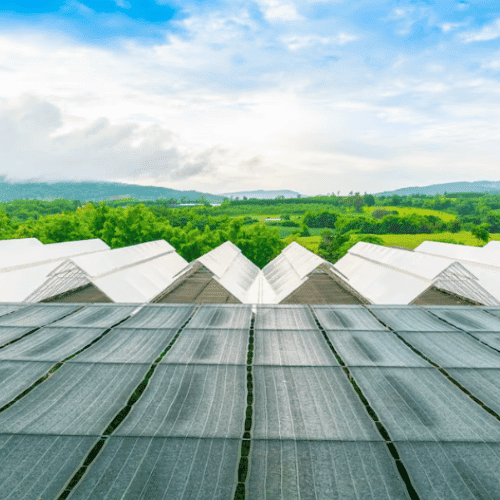 folie solar vindem ieftin.ro