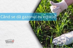 04 Banner Articol Blog 1000x662 32