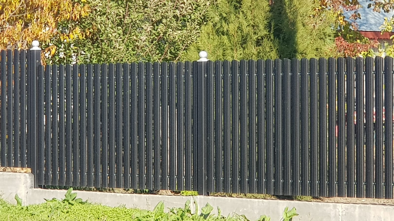 WhatsApp Image 2020 11 18