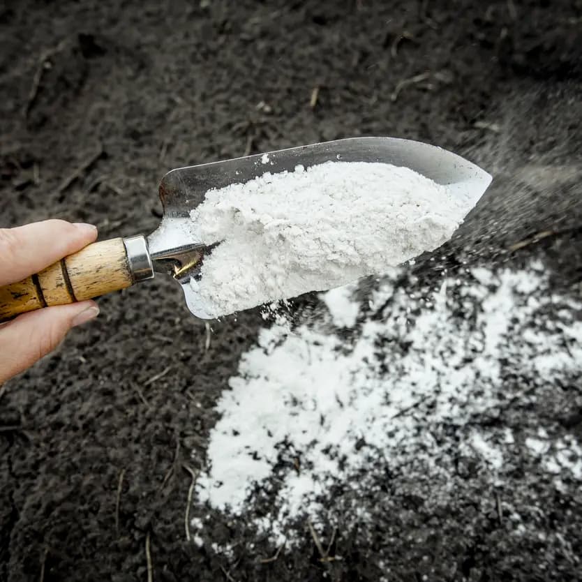 var pentru dezinfectarea solului