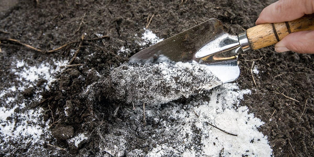 sol dat cu var pentru dezinfectare