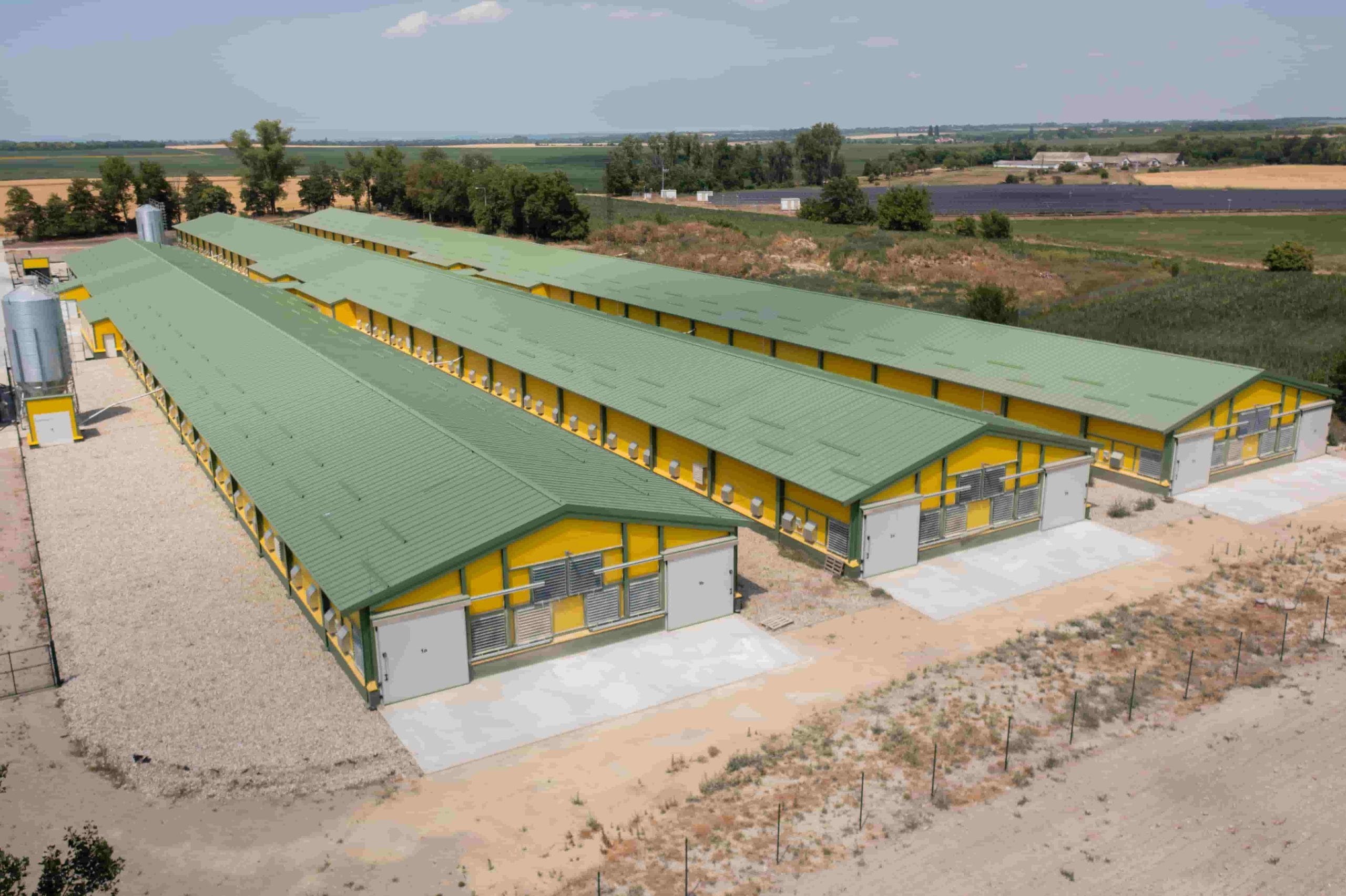 hale panouri sandwich