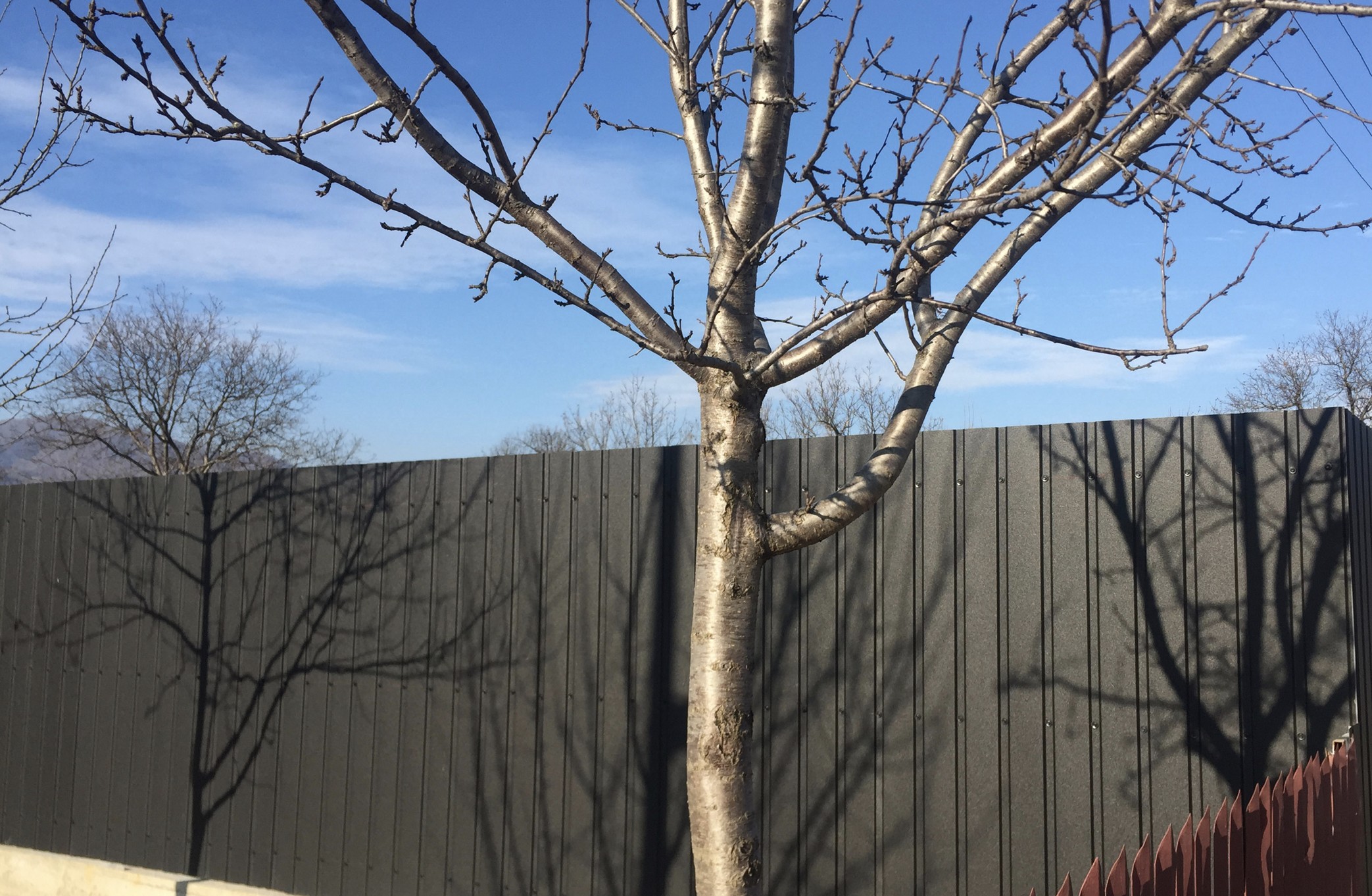 gard din tabla cutata